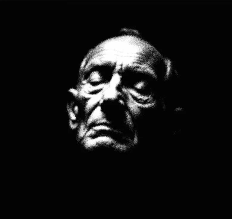 Likeness: A face held together only by stillness