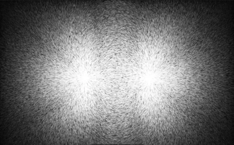 Lodestone: Iron filings reveal a magnetic field